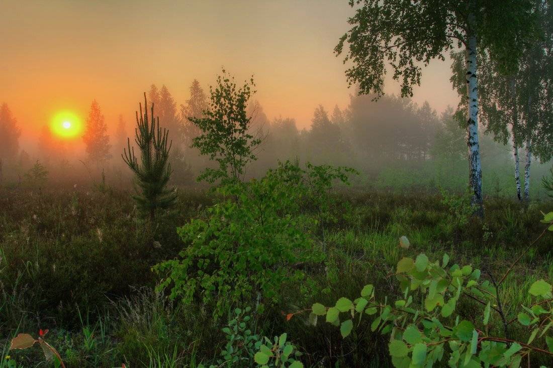 Ранним утром.... Автор: Андрей Дитковский рассвет,утро, Андрей Дитковский