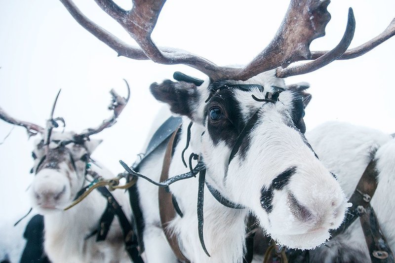 воркута photo preview