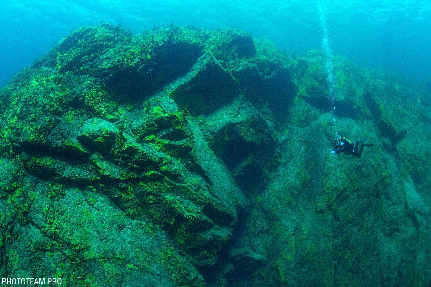 , Витя Лягушкин