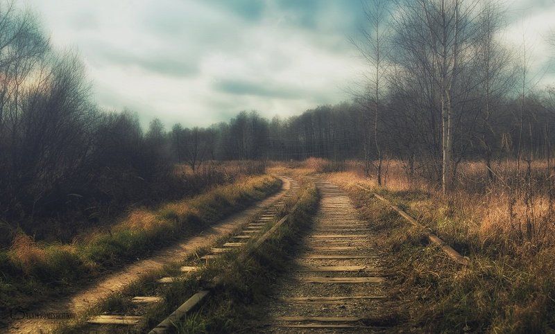 way,road,nature,autumn ron pathphoto preview