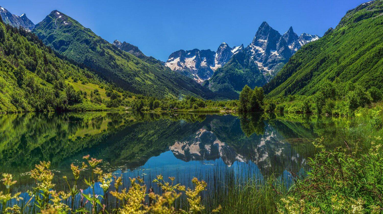 , Игорь Мелекесцев