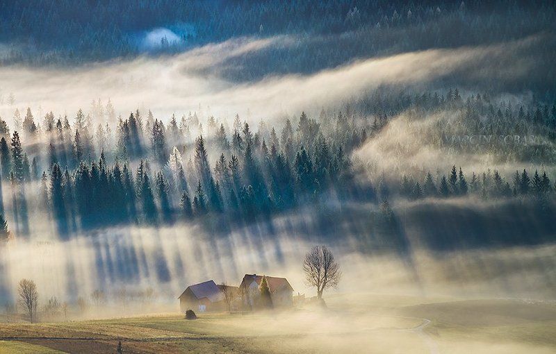 On a frosty meadowphoto preview