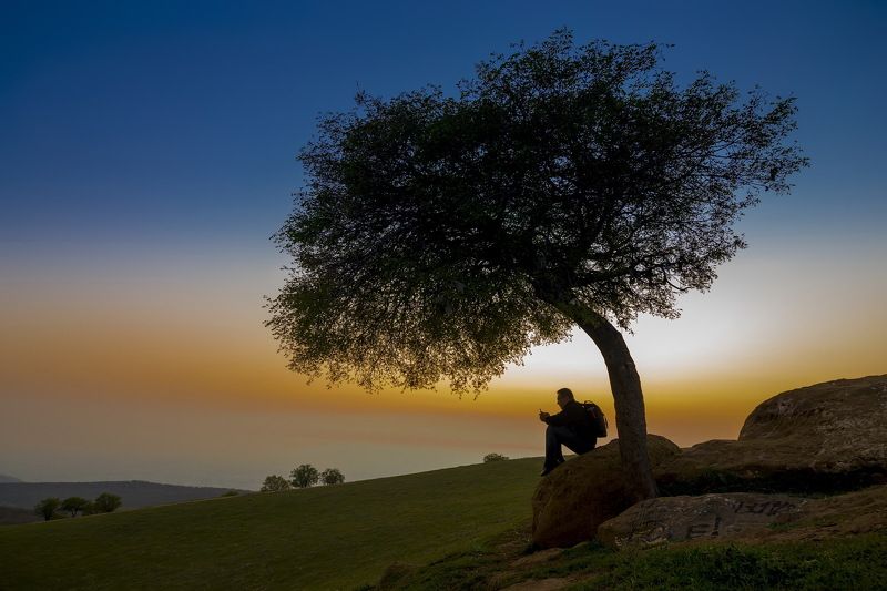закат, дерево, силуэт, камень, природа, пейзаж, небо, кыргызстан, киргизия, средняя азия, красота ***photo preview