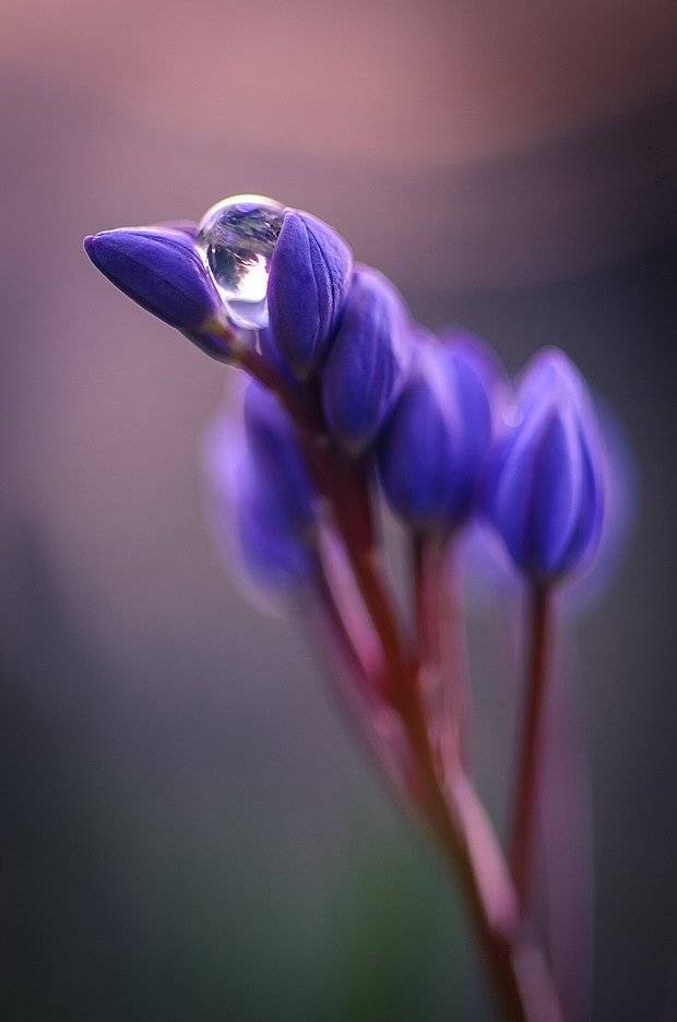 , Вячеслав Мищенко