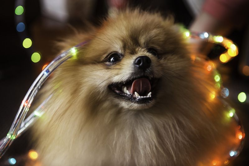 Бриллиантphoto preview