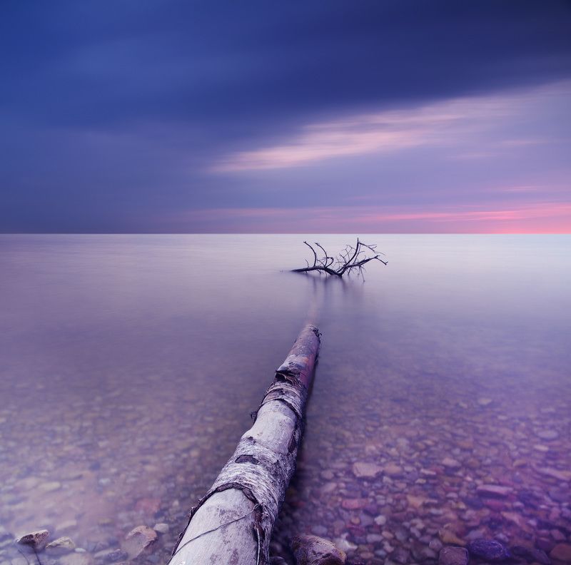 long exposure, water, tree, sea *photo preview