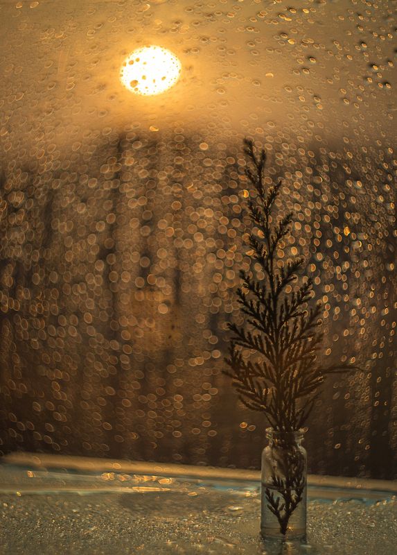 Вечернее спокойствиеphoto preview