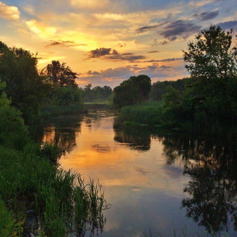 Природаphoto preview