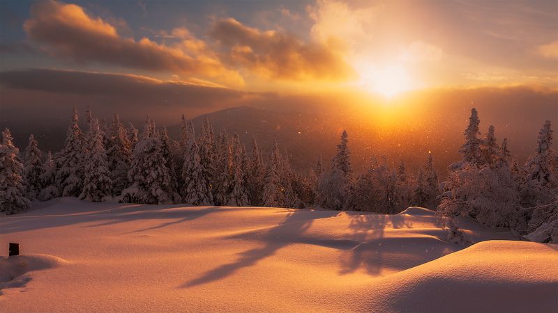 Метелицаphoto preview