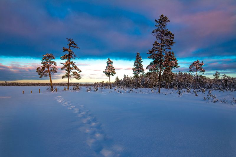 зима,  север, пейзаж, окунево, югра, На закате фото превью