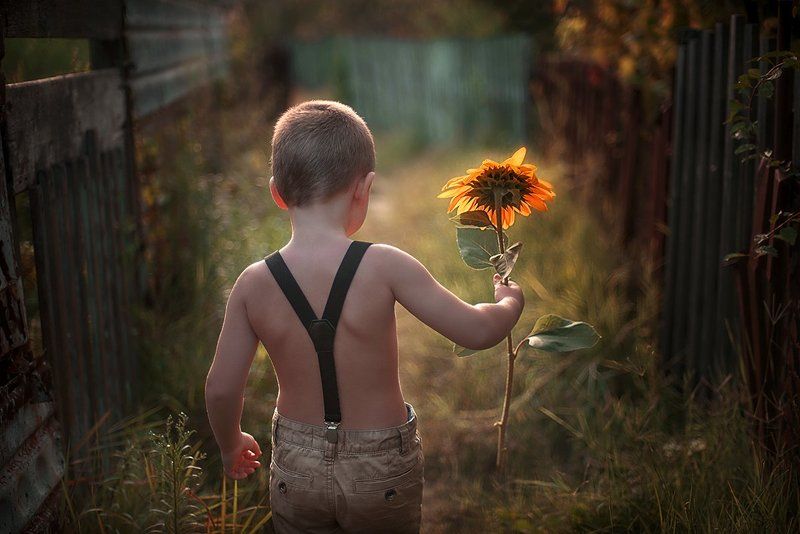 лето, подсолнух, мальчик, дача, закат Цветы для мамыphoto preview