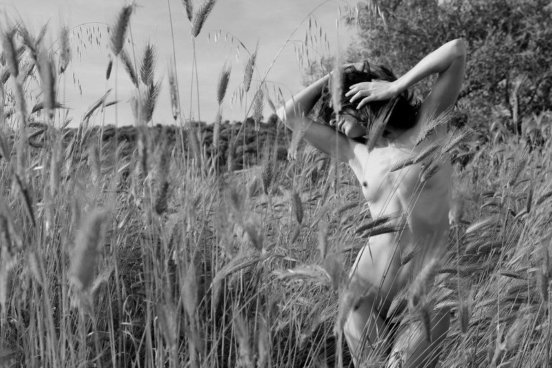 girl, nude, greece, field,  Im Feld (In the field)photo preview