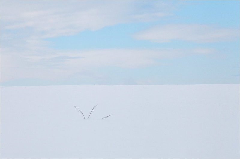 Minimalismphoto preview