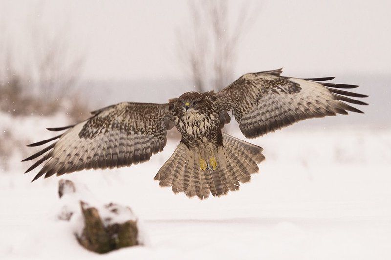 Залетаюphoto preview