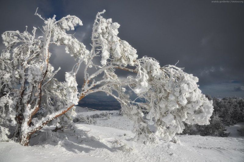 СОЛНЕЧНЫЙ ДЕНЬ НА ВЕРШИНЕ ГОРЫphoto preview