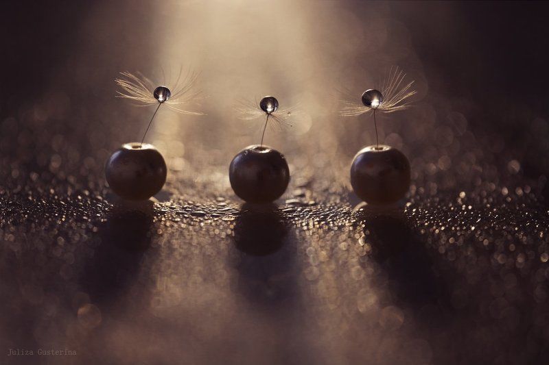 мотыльки летят на свет ...photo preview