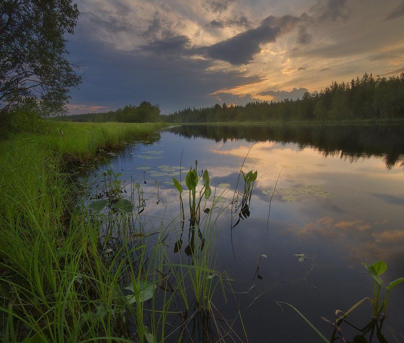 перед дождемphoto preview