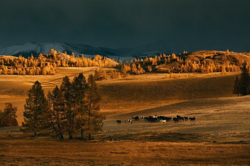 Фантазия на тему далёкой Землиphoto preview