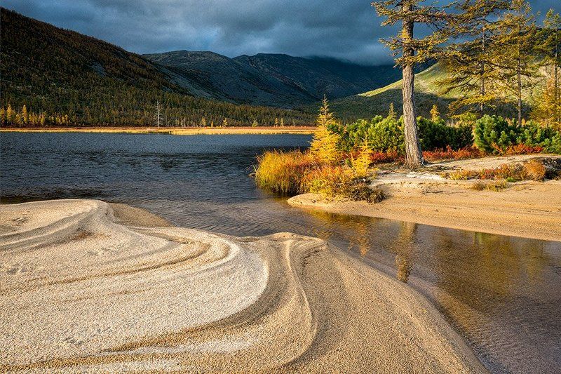 Берег медведейphoto preview