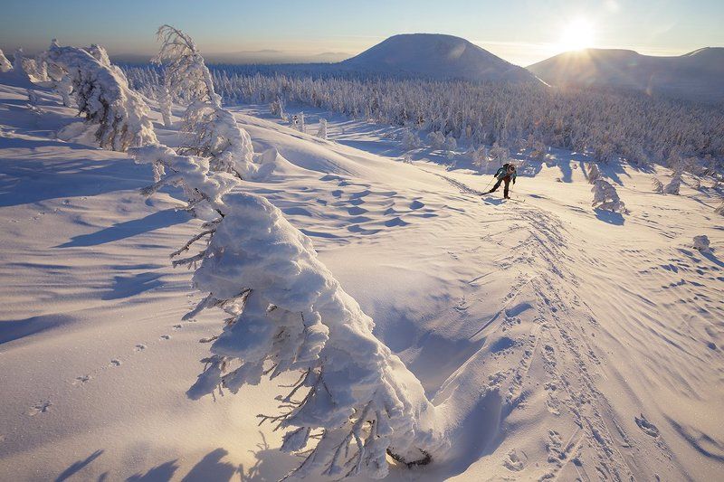 северный урал, гух, главный уральский хребет, северный урал, урал, гух, главный уральский хребет, лыжный поход, зима, манси, лыжник Нелегкий путьphoto preview