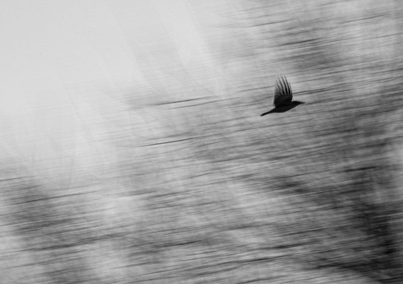 С проводкойphoto preview