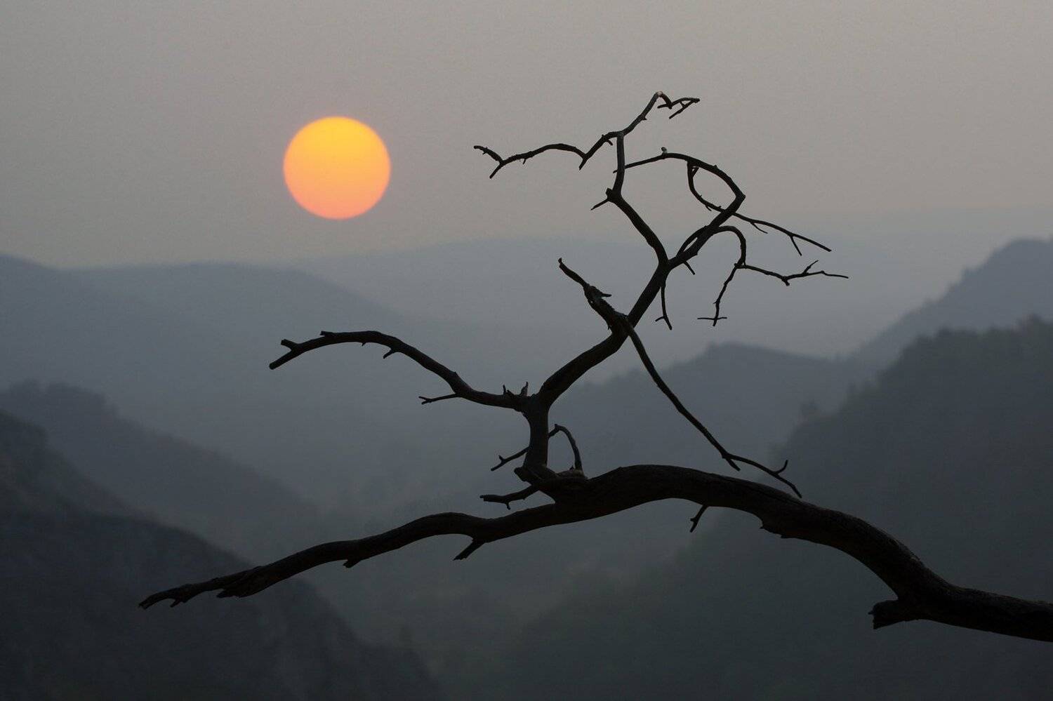 Утро в японском стиле.. Автор: Олег Грачёв Пейзаж, утро, Башкирия, Урал, солнце, горы, дерево., Олег Грачёв