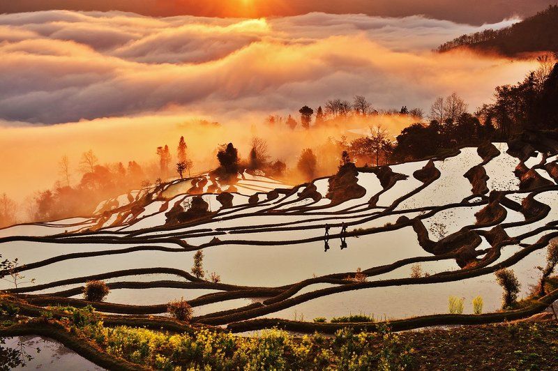yuanyang , china Morning lightphoto preview