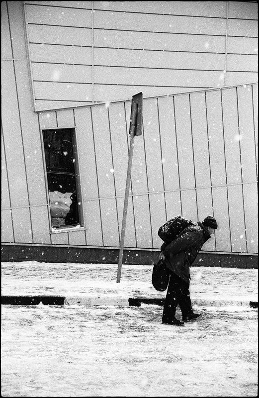 life ***photo preview