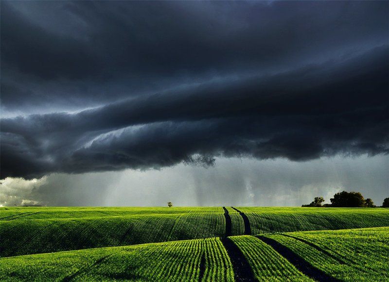 Lithuania, field, grass, storm, clouds *photo preview
