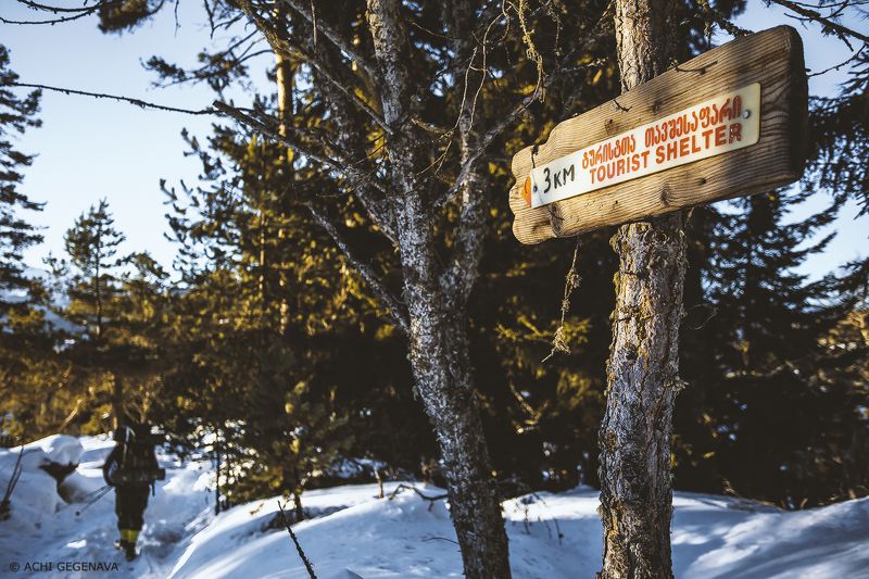 georgia, Borjomi-Kharagauli National Park, borjomi, kharagauli, imereti, samtskhe-javakheti, National Park  Georgia - Borjomi-Kharagauli National Parkphoto preview