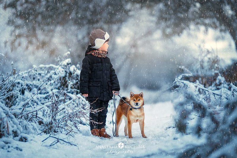 Два другаphoto preview