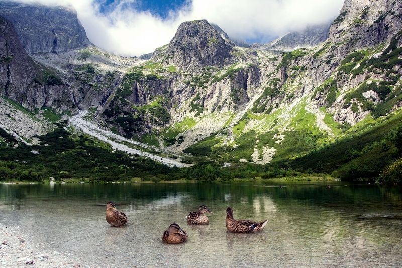 Countrysidephoto preview