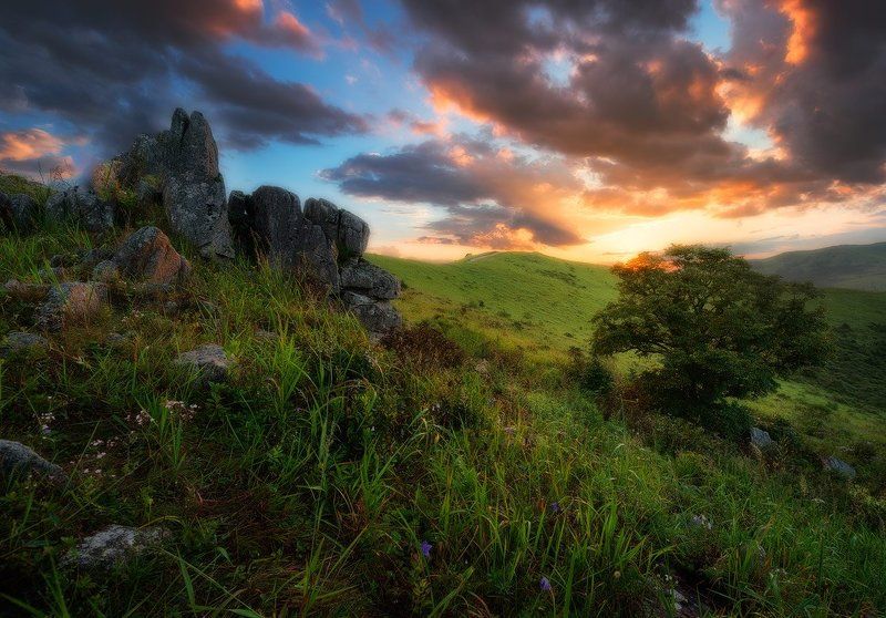 Приморский край заповедник рассвет море солнце После ливняphoto preview