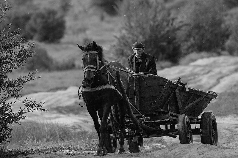 Коренной ты мой,выручай же брат...photo preview