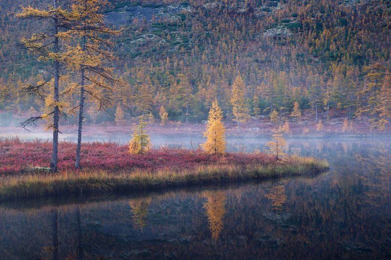 Ручей Студеныйphoto preview