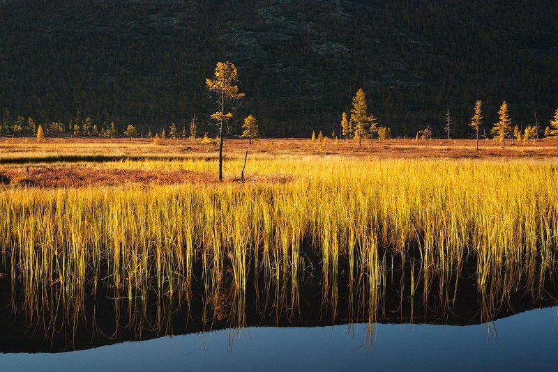 Равновесиеphoto preview