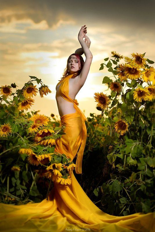 Vesta in Sunflowersphoto preview