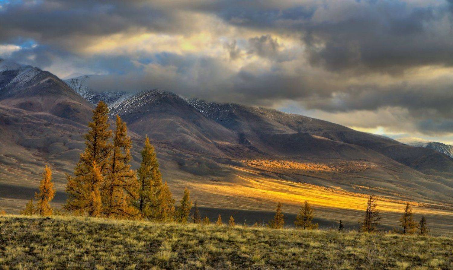 Пробивается солнце сквозь тучи. Автор: Галина Хвостенко горный алтай, алтай, курай, осень,горы, Галина Хвостенко