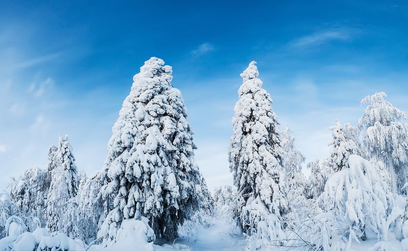 полюд, пермский край, урал Стражи Полюдаphoto preview