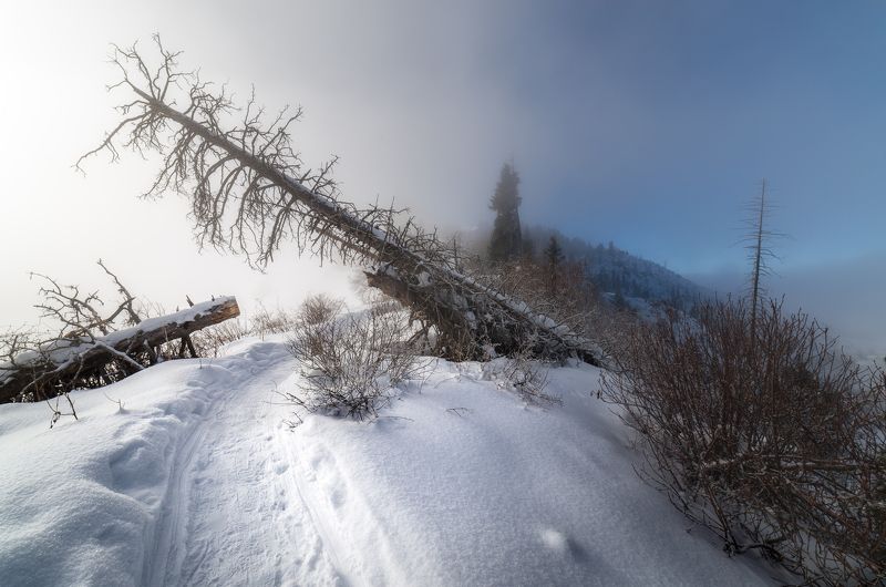 казахстан, горы, пейзаж в тумане, Рождественское таинство. фото превью