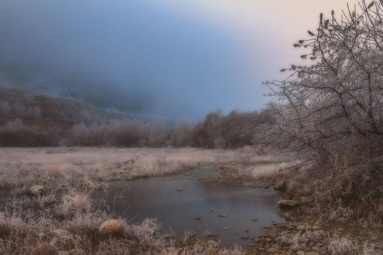 , Шевченко Юрий