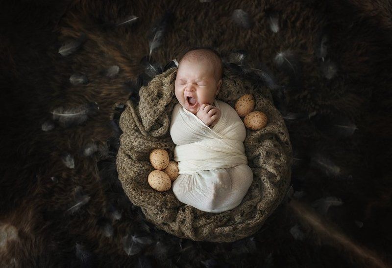 Птенецphoto preview