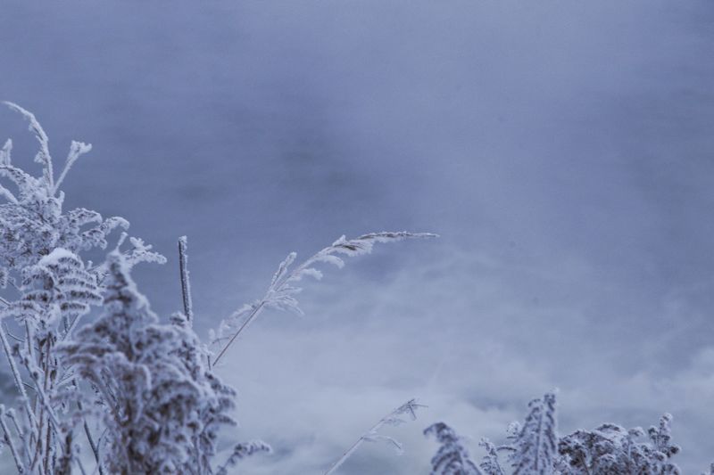 зима, снег, туман, утро, горячка, пейзаж, красота, winter, snow, mist, morning, landscape, beauty Горячкаphoto preview