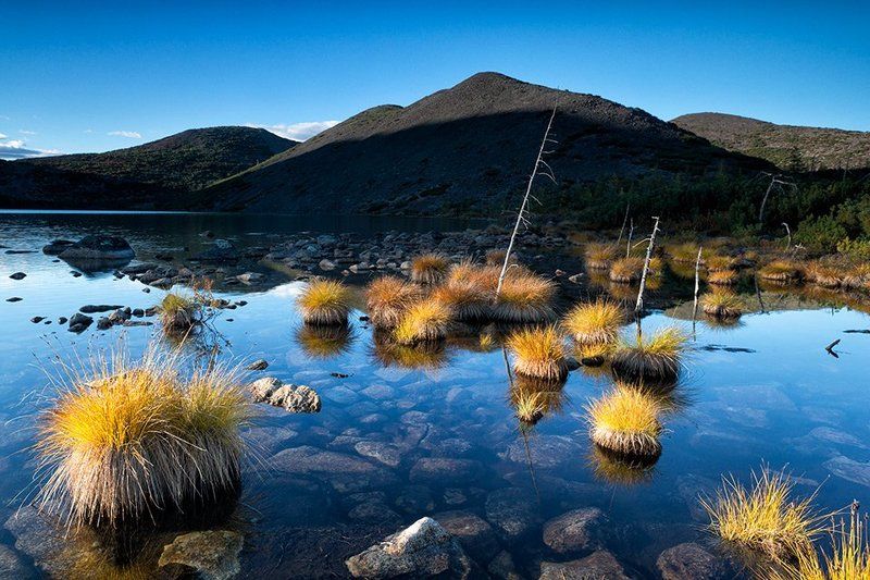 колыма, озеро джека лондона, озеро мечта, тундра, сопки, трава, колыма, магаданская область, россия, озеро, вода, горы, отражение Озеро Мечтаphoto preview