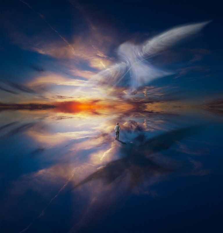 Between Light and Shadowphoto preview