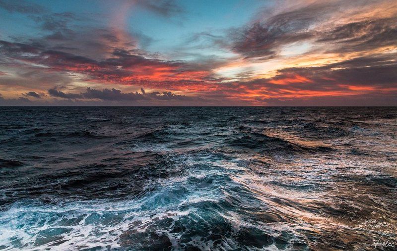 Neverlandphoto preview