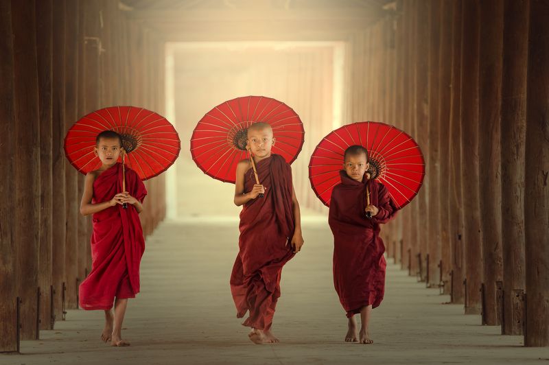 buddha,buddhism,buddhist,boys,portrait, Novice monksphoto preview