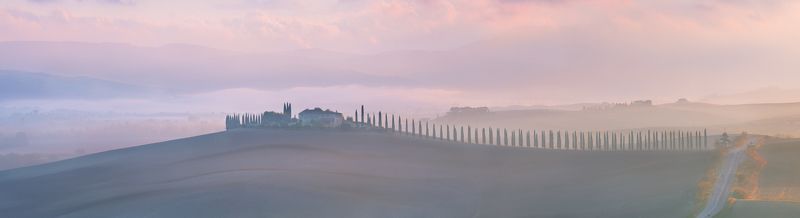 Еще о кипарисах Тосаныphoto preview