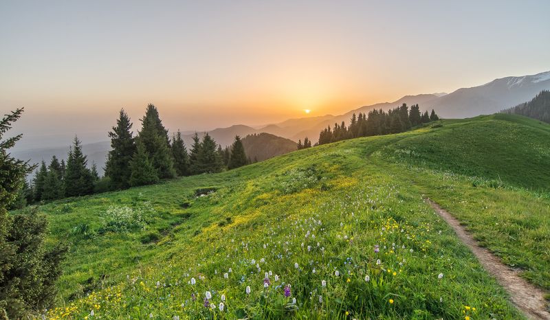 утро, рассвет, горы, тишина, красочный пейзаж Летнее утро на плато Кок Жайляу. фото превью