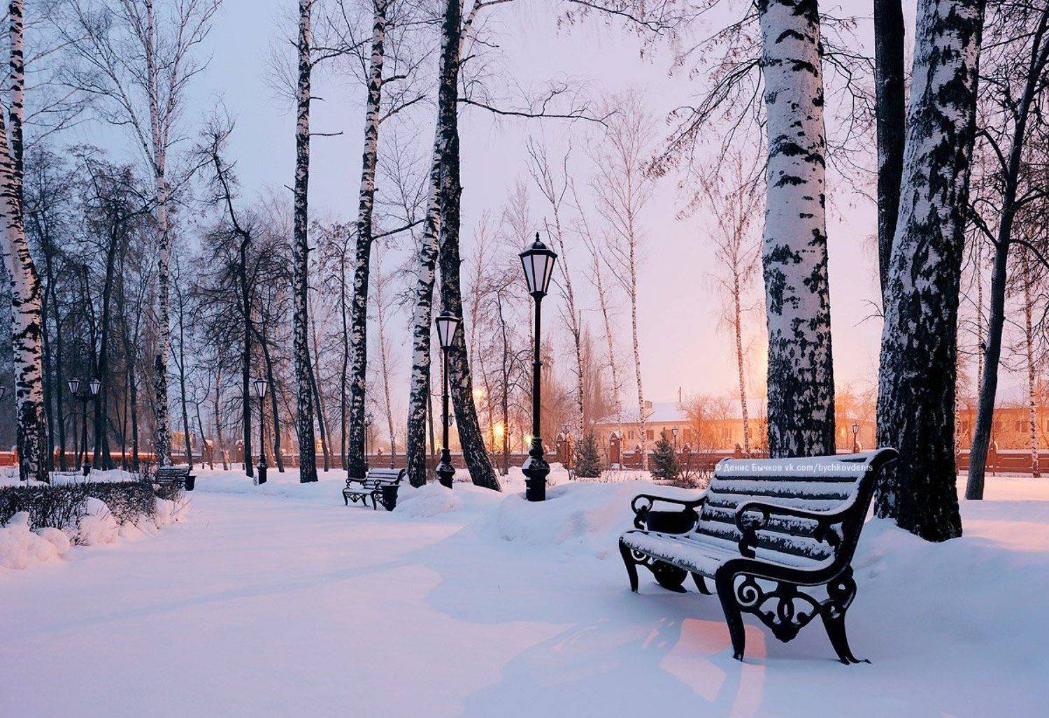 воронеж, Рамонь, зима, Бычков Денис